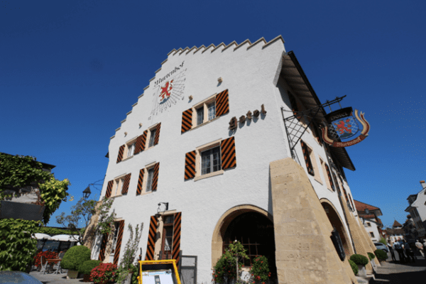 Denkmalgeschütztes Gebäute, Bautenschutz